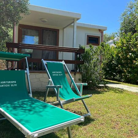 Agriturismo Antichi Ulivi Маттіната Екстер'єр фото