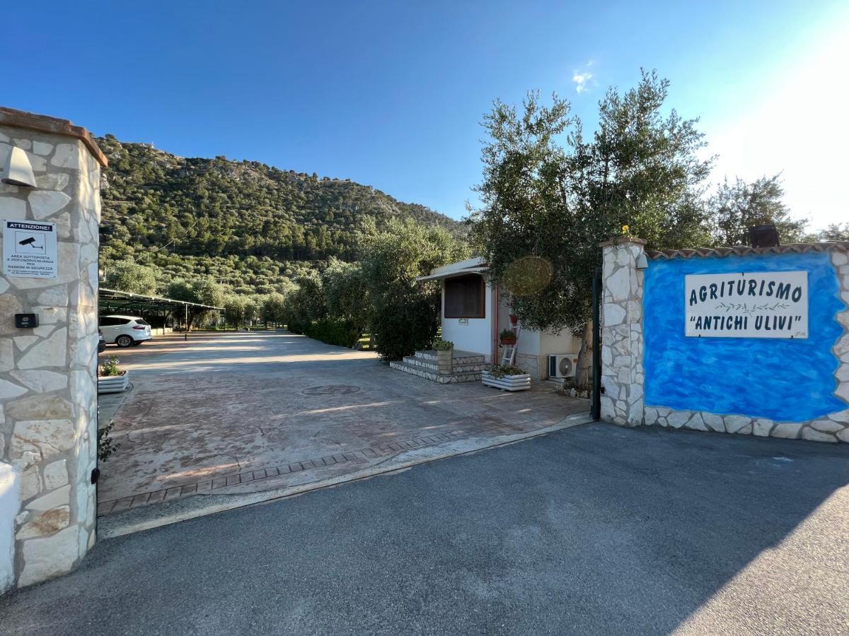 Agriturismo Antichi Ulivi Маттіната Екстер'єр фото