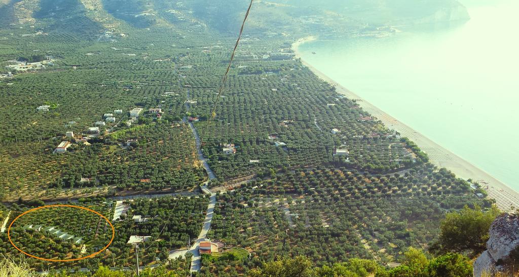Agriturismo Antichi Ulivi Маттіната Екстер'єр фото