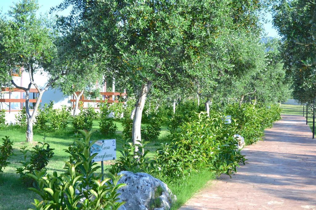 Agriturismo Antichi Ulivi Маттіната Екстер'єр фото