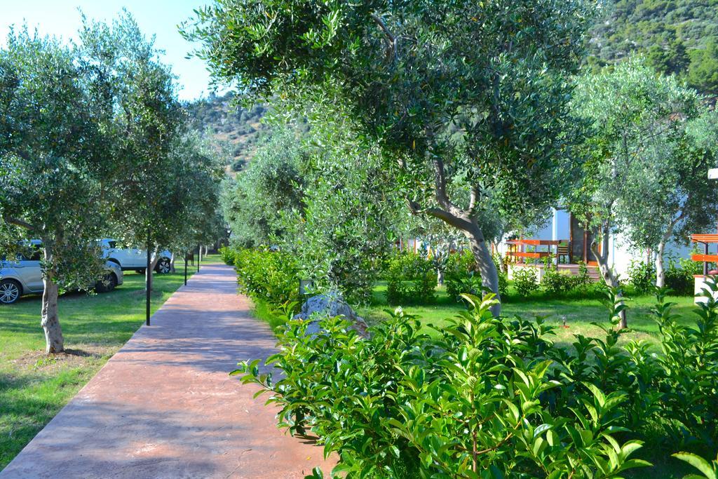 Agriturismo Antichi Ulivi Маттіната Екстер'єр фото