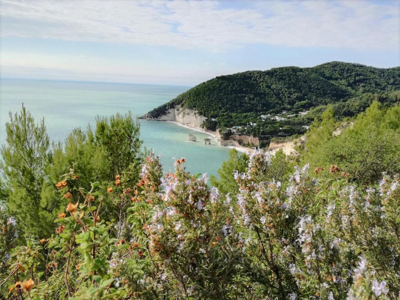 Agriturismo Antichi Ulivi Маттіната Екстер'єр фото